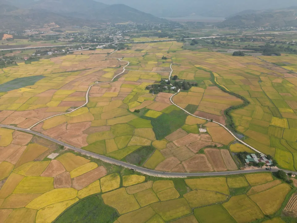 Kho gạo của Phan Thị Lành